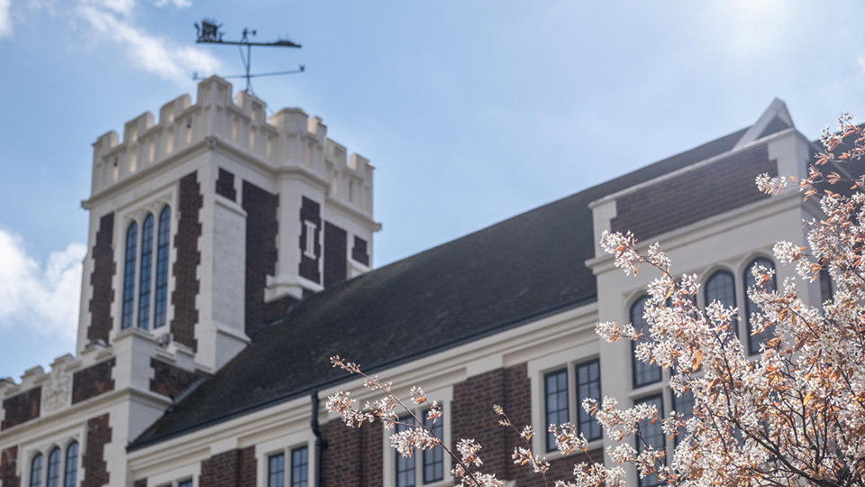 Hazelrigg with a blossom tree